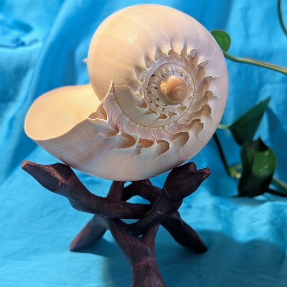 Decorative SeaScape on Wooden Stand - Picture 6 of 7